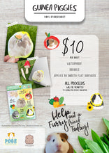 Load image into Gallery viewer, Guinea Piggies Vinyl Sticker Sheet