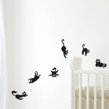 Load image into Gallery viewer, designer vinyl series - Black Cats